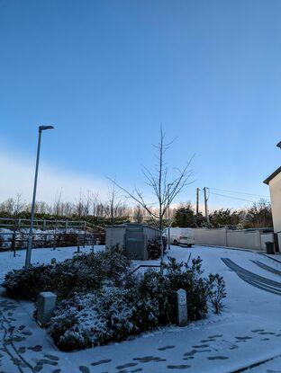 Area in front of our house, after snow.