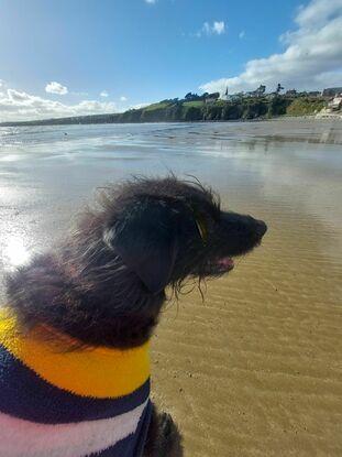 My Olly. Doing our thing