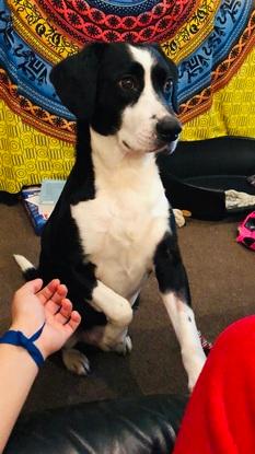 Morgan ❤️