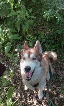 Osky <3