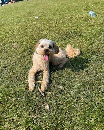 Max