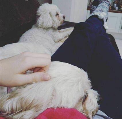 Couch cuddles with the girls