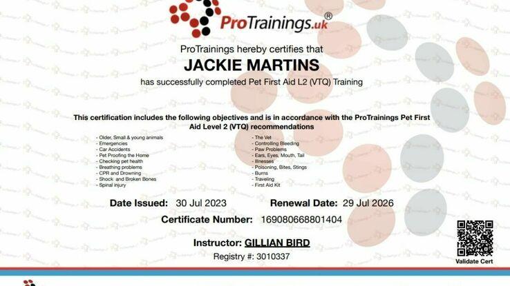 Pet First Aid Certificate