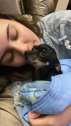 Jolie is a tiny puppy and her brother Ronco were my little babies! I stayed at their house for a week taking care of them when tutors were on Holidays!