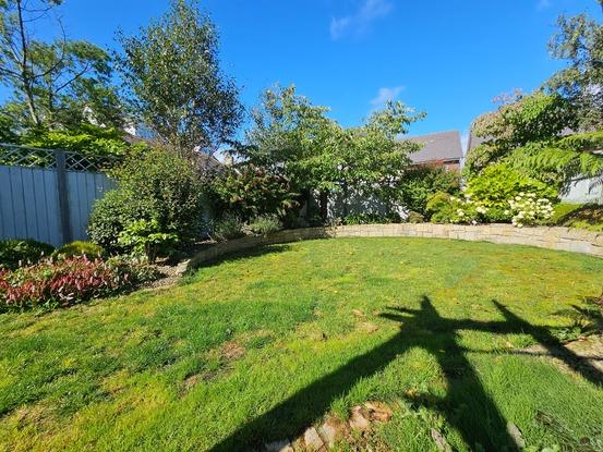 Plenty of space in my garden 