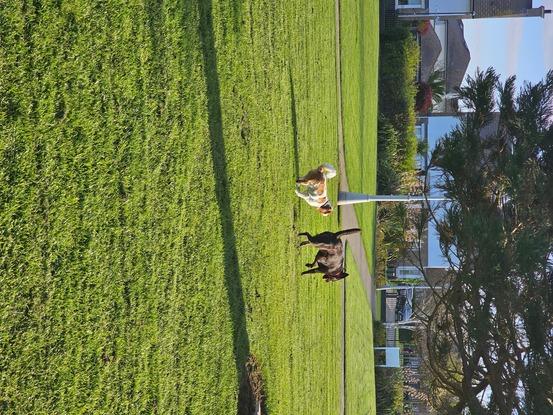 My local park
