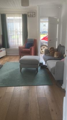 Ruby relaxing on the couch in the living room, with the green out front