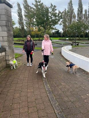 Completing my walking assessment