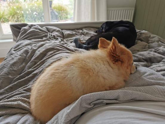 Their favourite spot
