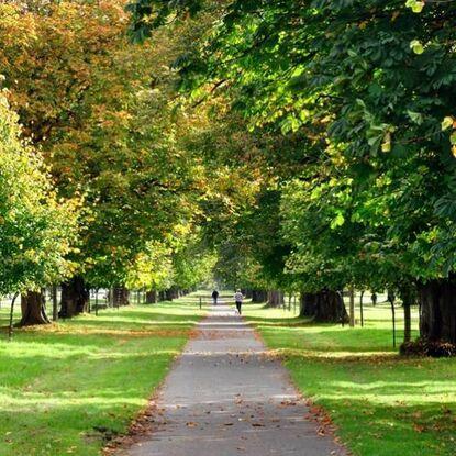 Phoenix Park garden