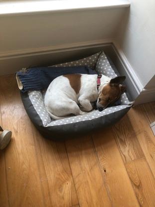 Completely relaxed