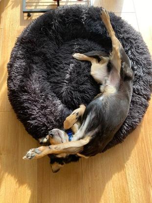 Strechy time