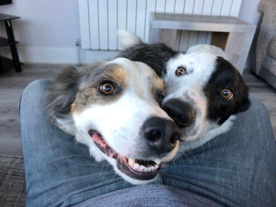 Funny boys 