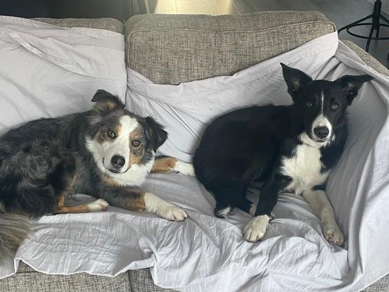 Lazy sofa day 