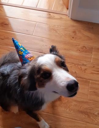 Birthday 