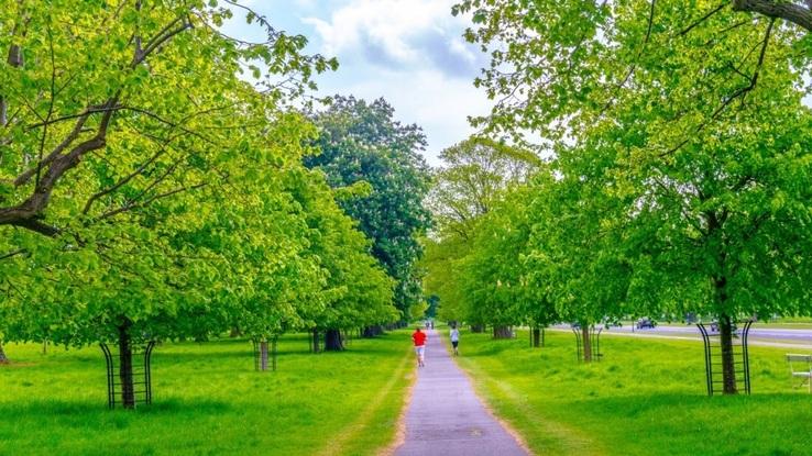 Pheonix Park