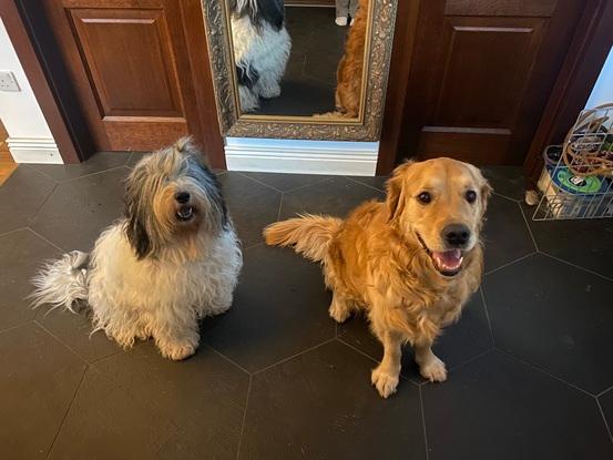 Lola and cucumber 
