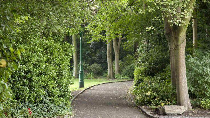 Merrion square 