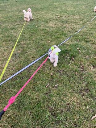 We love a good walk in the park