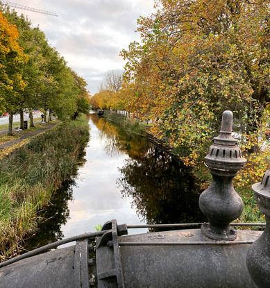 The canal providing endless walking paths