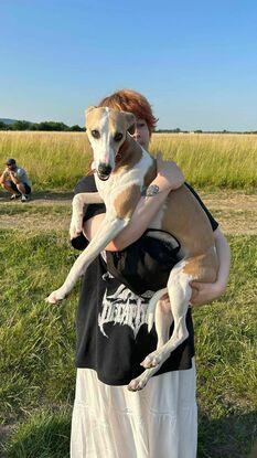 Dog walk