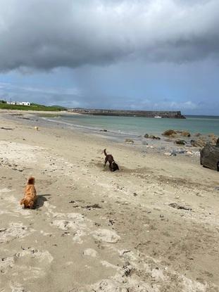 Sandcastle competition