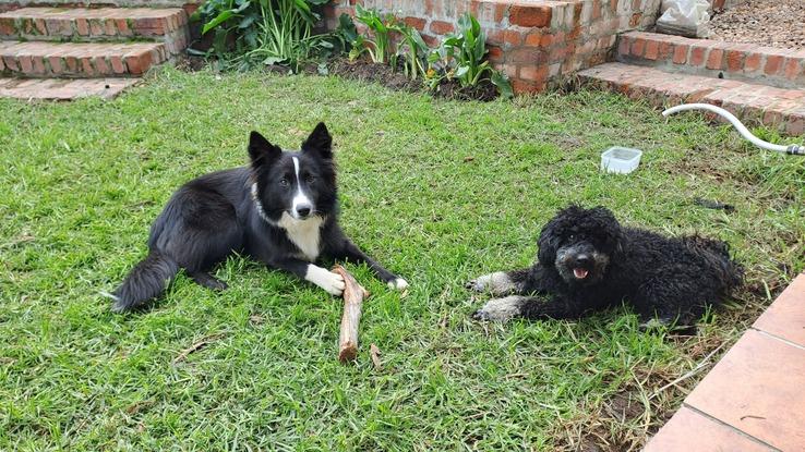 Maskam and his friend Bazuki