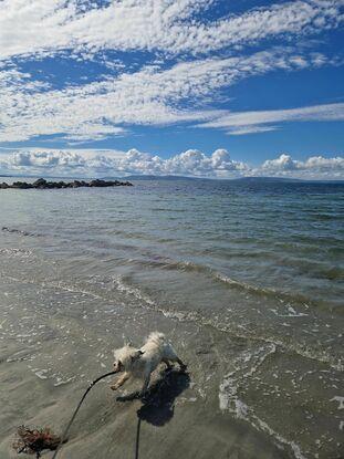 Local beach for walks.