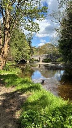 River walks