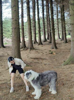 ticknock forest