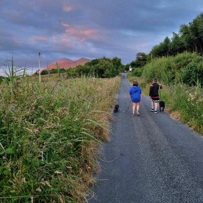 Evening walks on quiet back roads