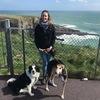 Helen: Wicklow Dog Care