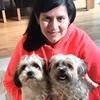 Diana: Dog sitter in Celbridge
