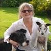 Gill: Holiday Home for Dogs