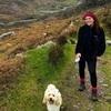 Aisling : Dog sitter/walker in Templeogue, Dublin, 