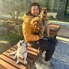 Samer: Dog walker or sitter available in Dublin 1 - Experience with very difficult dogs