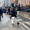 Victoria: Pet Sitter in Dublin! :)