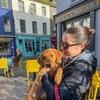 Aine & Tim: Deluxe Dog Sitting/ Boarding in Clonakilty 