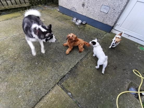 Having A Good Play Together