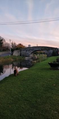 naas canal