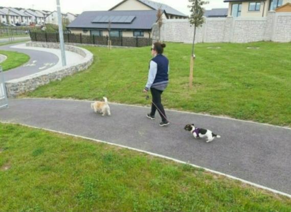 Dog walking services available