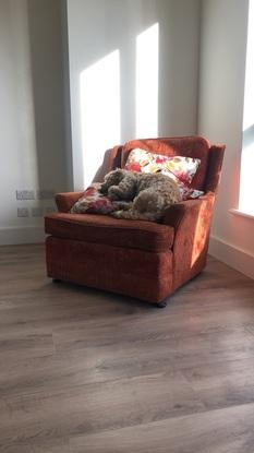 Ted’s favourite chair 😍
