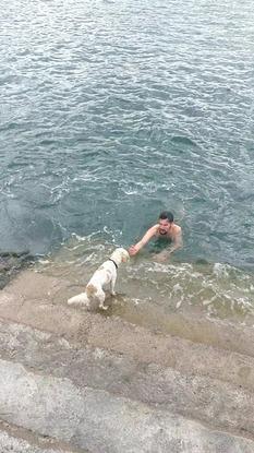 Bringing Alfie for a swim