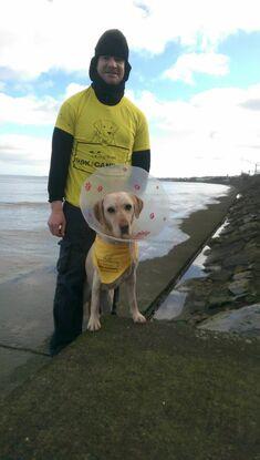 99 K for canines in support of dogstrust