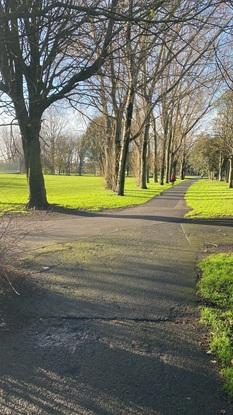The park 1 min from my house at 8 in the morning
