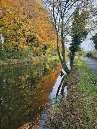 The canal path by our house